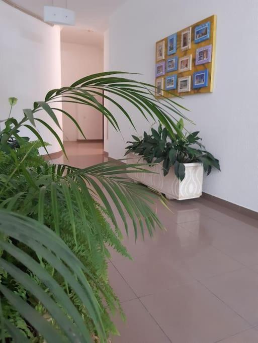 Apartamento Batalha - Quarteira, Algarve, Portugal Екстер'єр фото